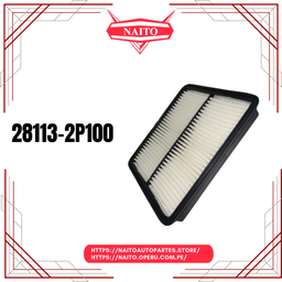 28113-2P100